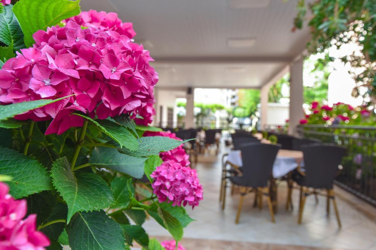 Hotel Suzana Budva Exterior photo