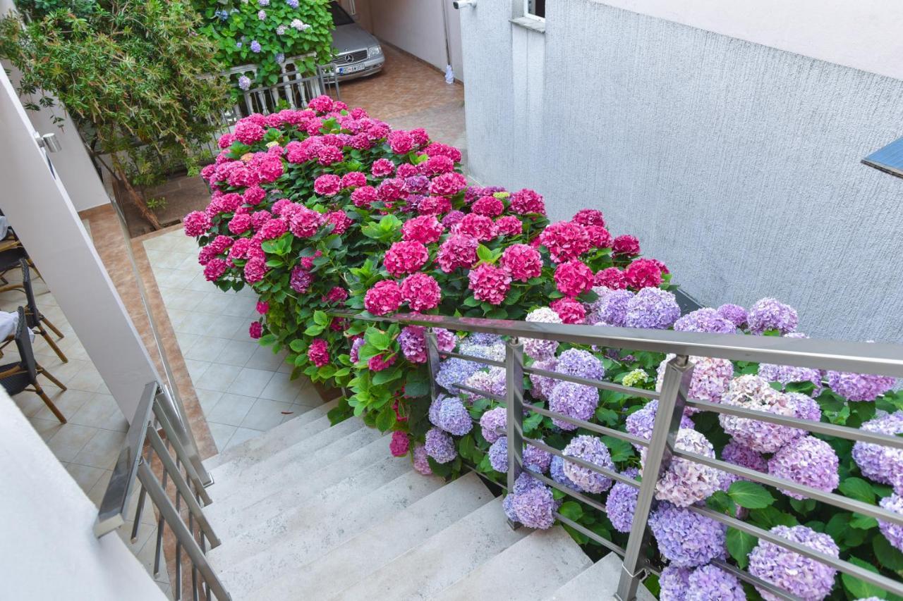 Hotel Suzana Budva Exterior photo